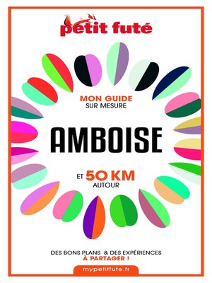 cover image of AMBOISE ET 50 KM AUTOUR 2021 Carnet Petit Futé